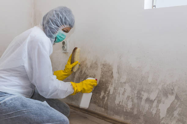 Best Industrial Mold Remediation in Sea Isle City, NJ
