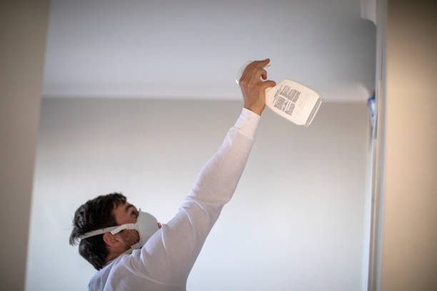 Best Localized Mold Remediation (e.g., coastal areas, humid climates) in Sea Isle City, NJ