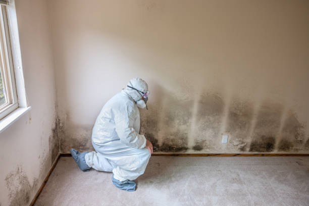 Best Bathroom Mold Remediation in Sea Isle City, NJ