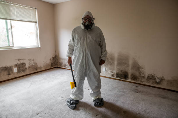 Best Commercial Mold Remediation in Sea Isle City, NJ